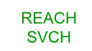 SVHC檢測REACH認(rèn)證機構(gòu)